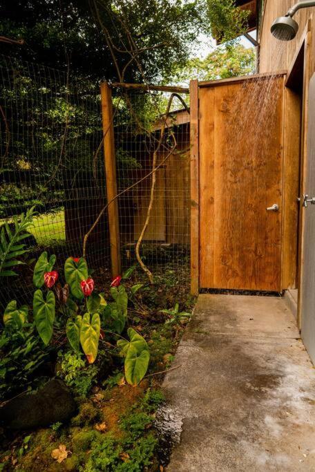 Jungle Haven Ocean Front Eco Villa On Fruit Farm Pahoa المظهر الخارجي الصورة