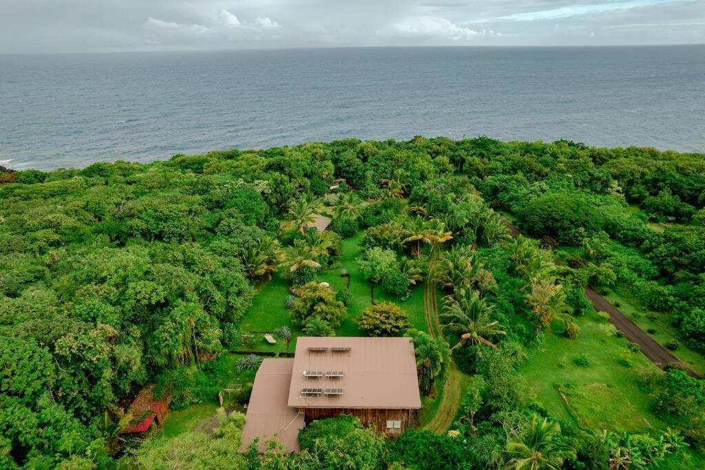 Jungle Haven Ocean Front Eco Villa On Fruit Farm Pahoa المظهر الخارجي الصورة