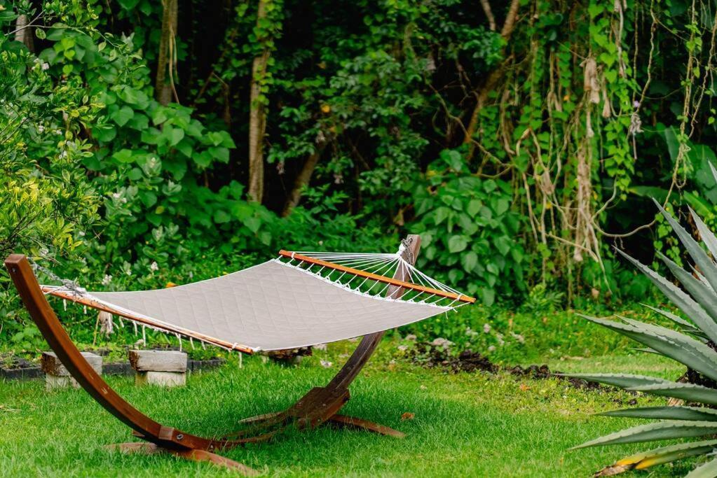 Jungle Haven Ocean Front Eco Villa On Fruit Farm Pahoa المظهر الخارجي الصورة