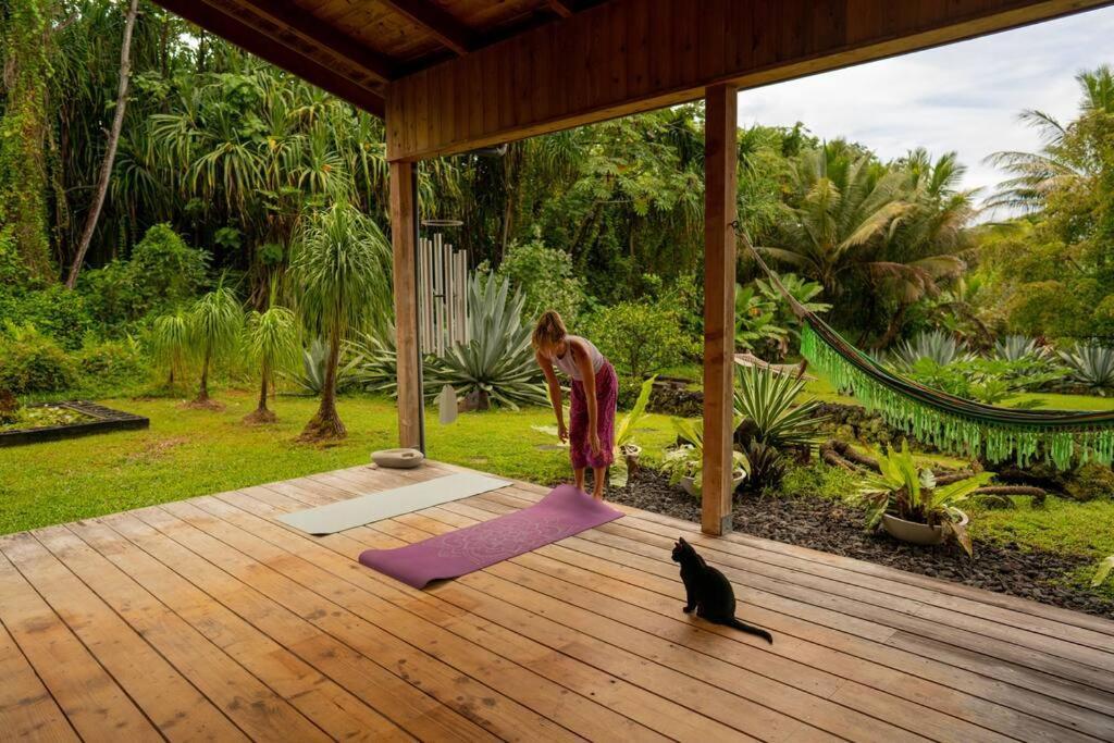 Jungle Haven Ocean Front Eco Villa On Fruit Farm Pahoa المظهر الخارجي الصورة