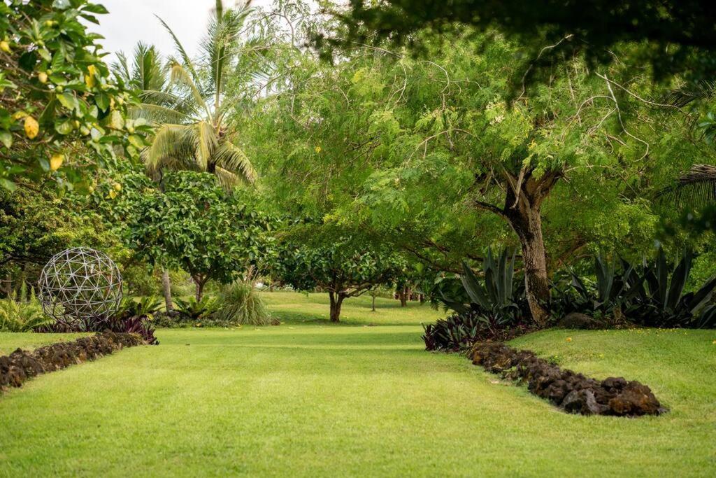 Jungle Haven Ocean Front Eco Villa On Fruit Farm Pahoa المظهر الخارجي الصورة