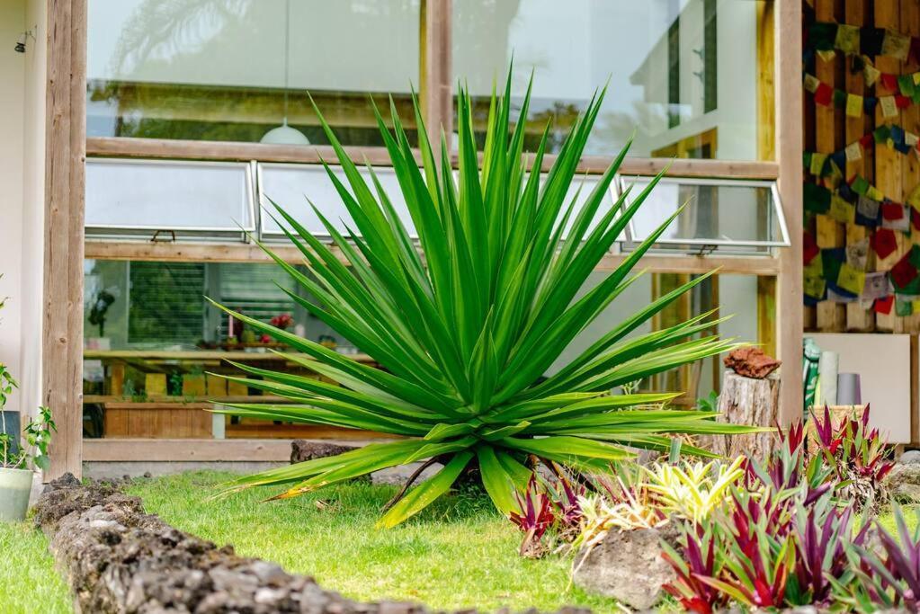 Jungle Haven Ocean Front Eco Villa On Fruit Farm Pahoa المظهر الخارجي الصورة