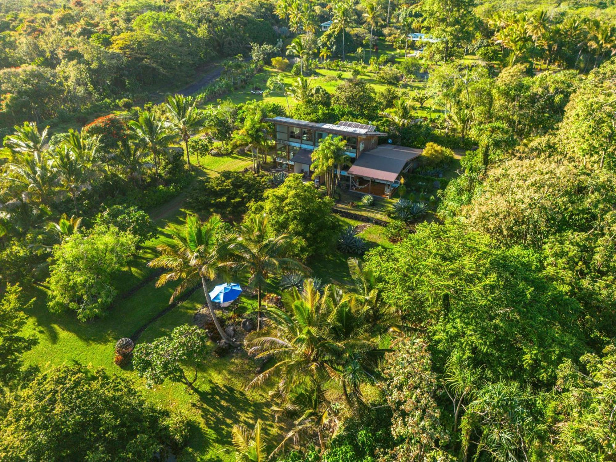 Jungle Haven Ocean Front Eco Villa On Fruit Farm Pahoa المظهر الخارجي الصورة