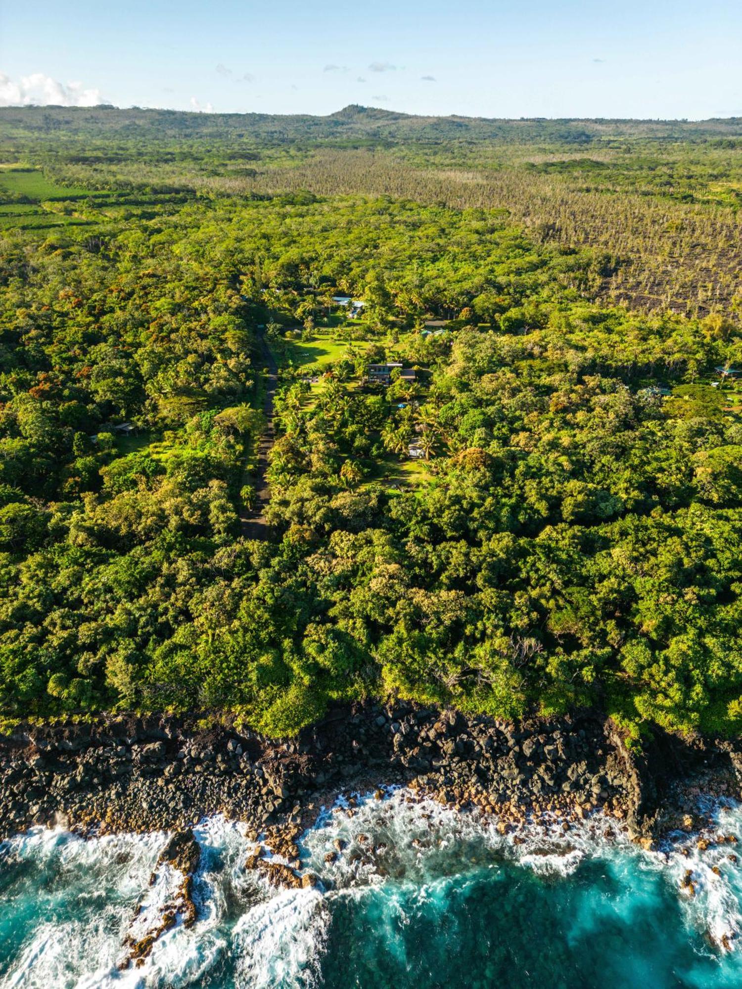 Jungle Haven Ocean Front Eco Villa On Fruit Farm Pahoa المظهر الخارجي الصورة