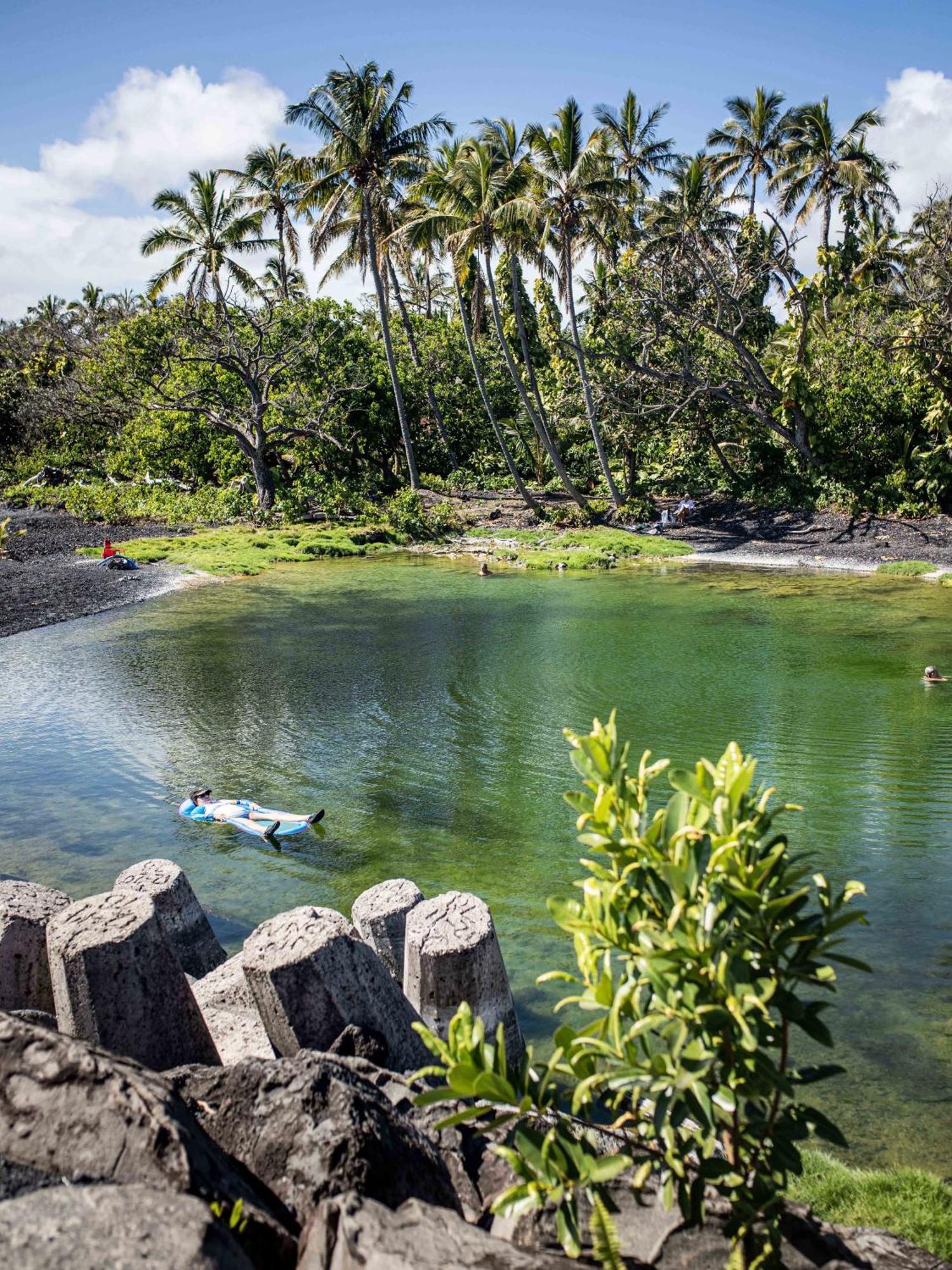 Jungle Haven Ocean Front Eco Villa On Fruit Farm Pahoa المظهر الخارجي الصورة
